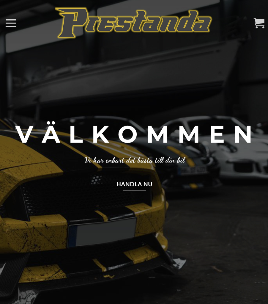 Preview of the e-commerce platform Performance